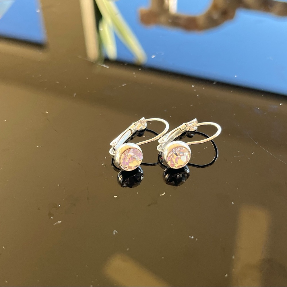 Pretty Dangle Earrings